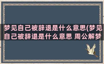 梦见自己被辞退是什么意思(梦见自己被辞退是什么意思 周公解梦)